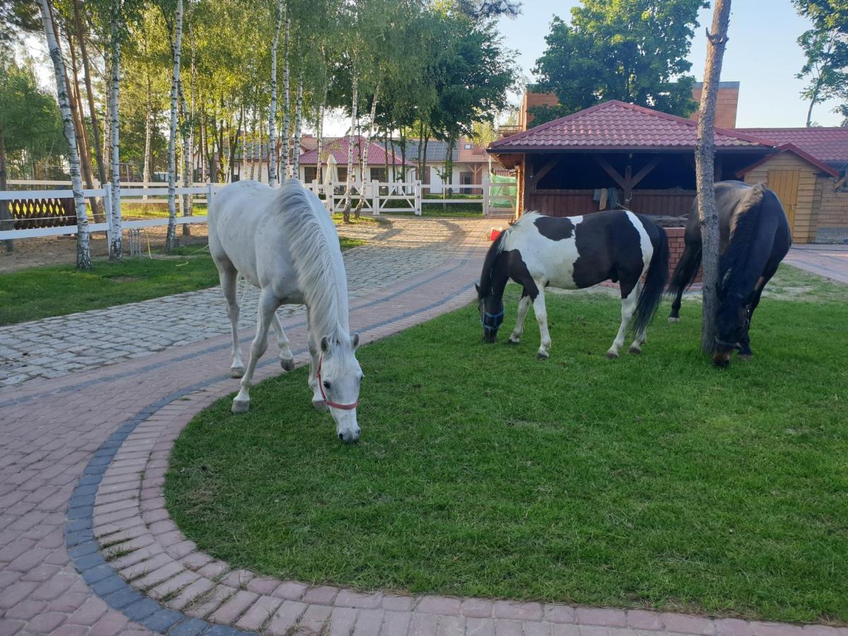 Vila Osrodek Agroturystyczny Zacisze Giewartów Exteriér fotografie
